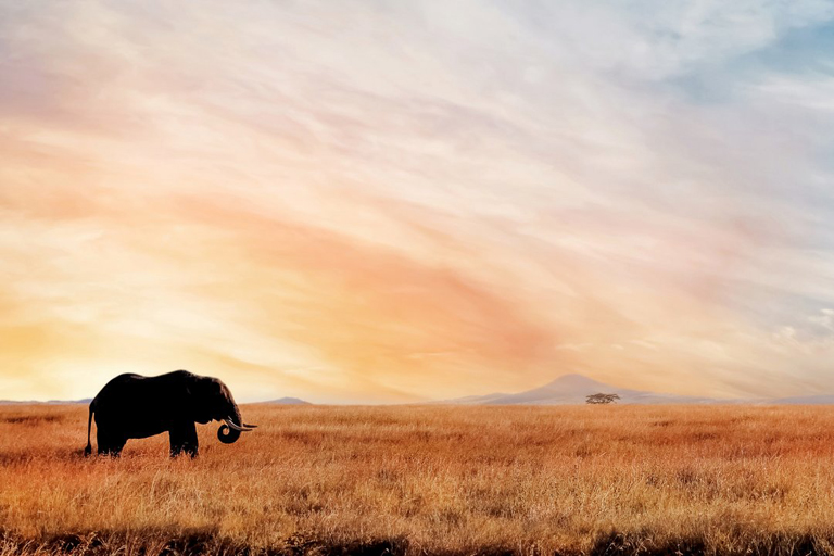 Afrika768x512