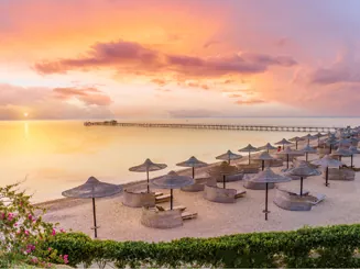 Rotes Meer & Saudi-Arabien