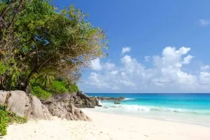 strand1000x667