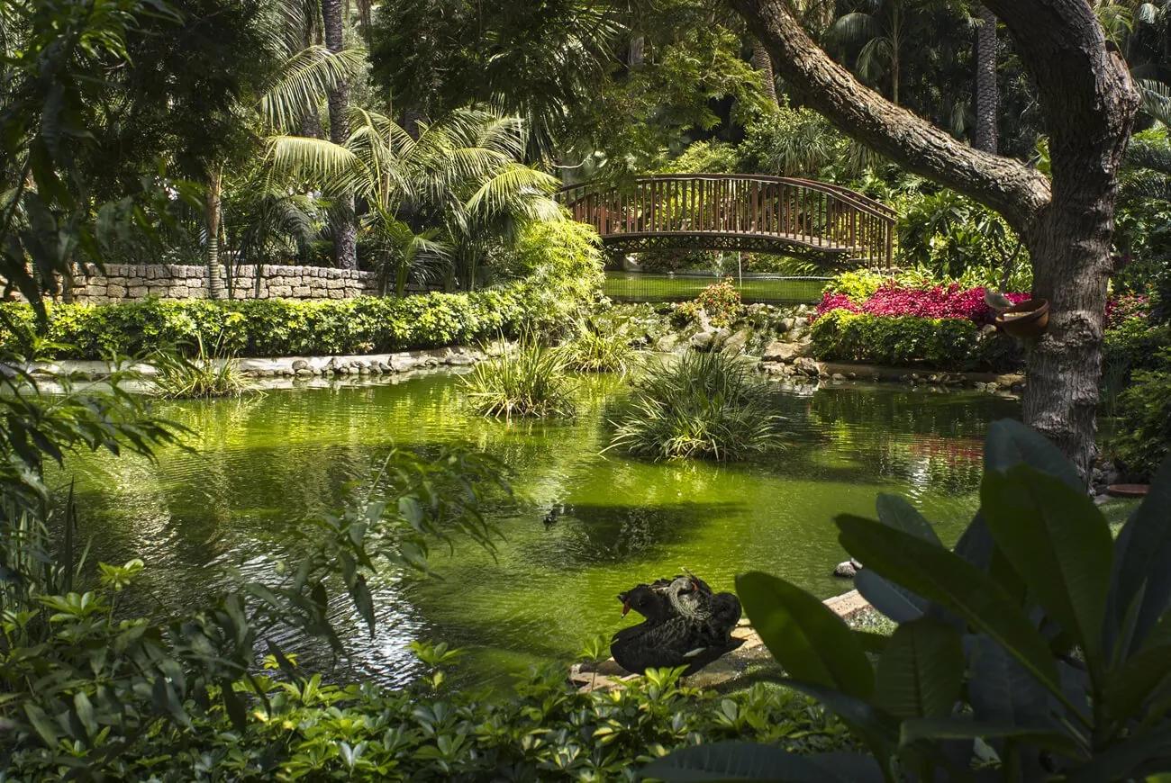 170-121botanico1300x870