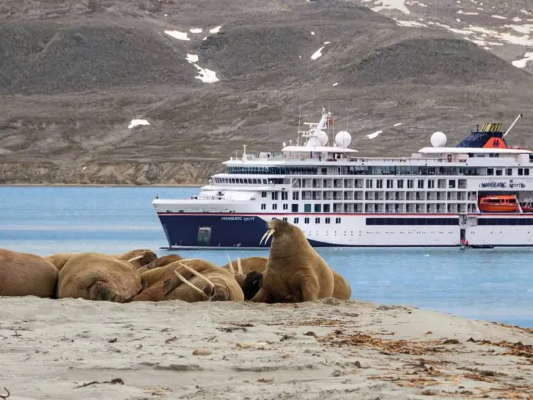 HANSEATIC nature, HANSEATIC inspiration, HANSEATIC spirit Bug Spitzbergen