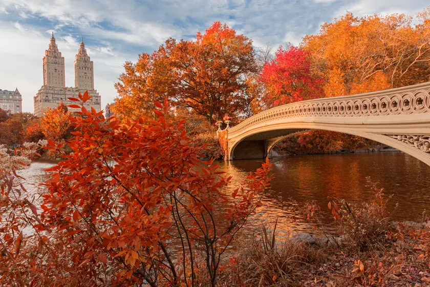 Bow Bridge im Central Park in New York mit leuchtend rotem und orangefarbenem Herbstlaub und der Skyline im Hintergrund.